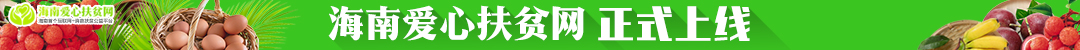 海南爱心扶贫网