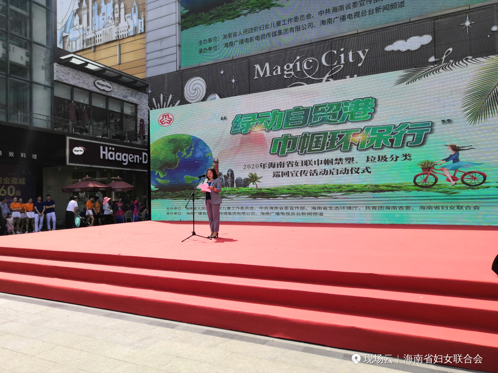海南省政府妇女儿童工作委员会副主任、省妇联党组书记、主席李燕讲话