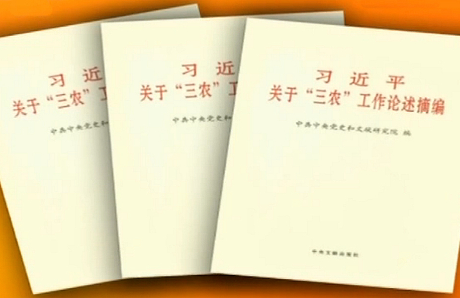 一、坚持农业农村优先发展，实施乡村振兴战略