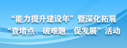 “能力提升建设年”暨深化拓展“查破促”活动