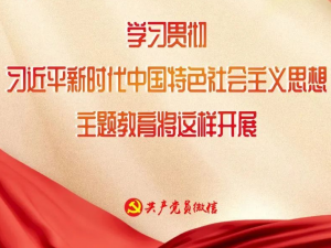 这项主题教育如何开展，中央明确了！